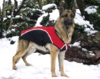 K-9 �I�[�o�[�R�[�g